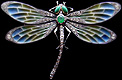 Jugendstil silver plique-a-jour dragonfly brooch.